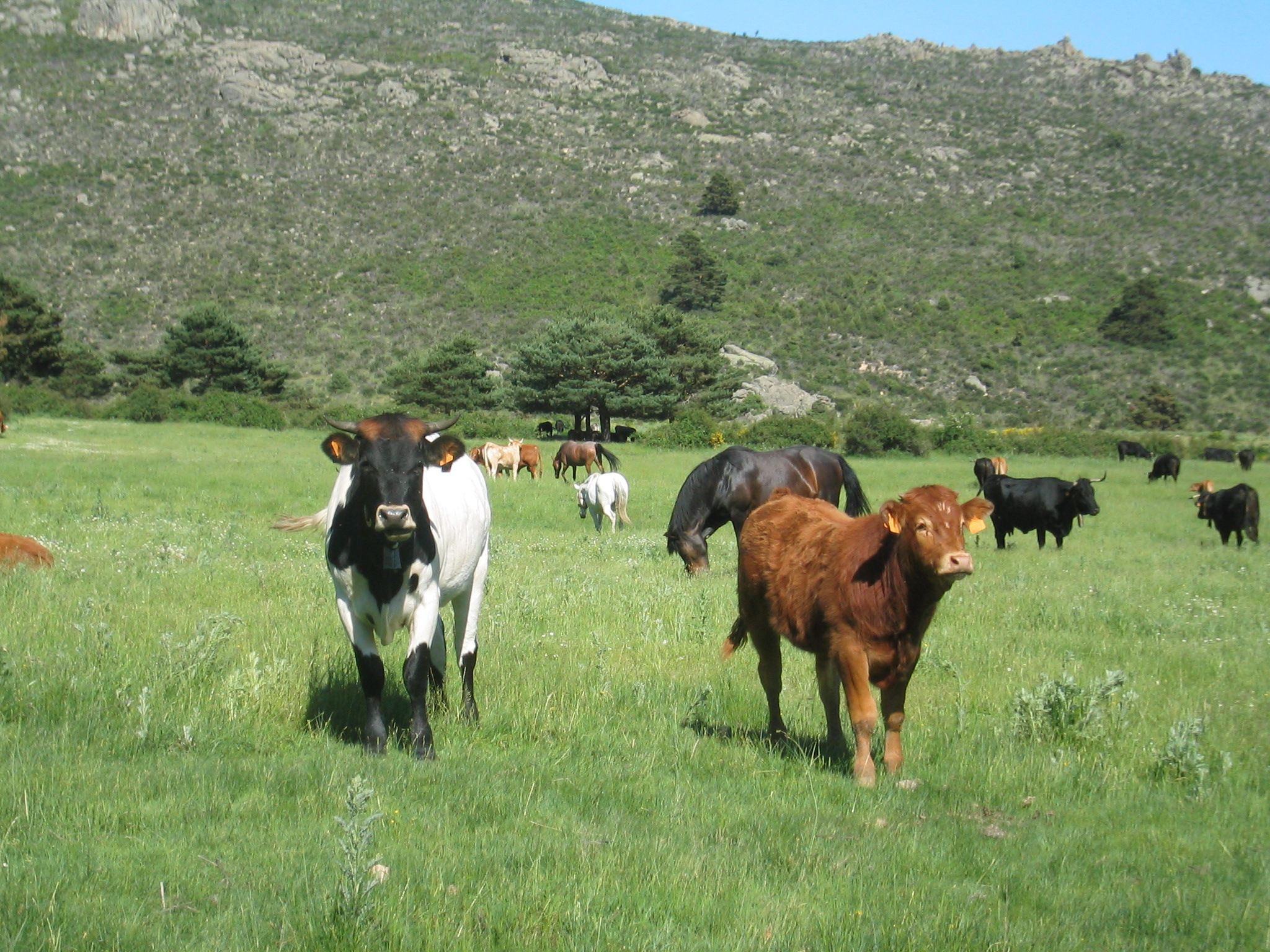 Guía de Actividades Turísticas Sostenibles en la Sierra de Guadarrama