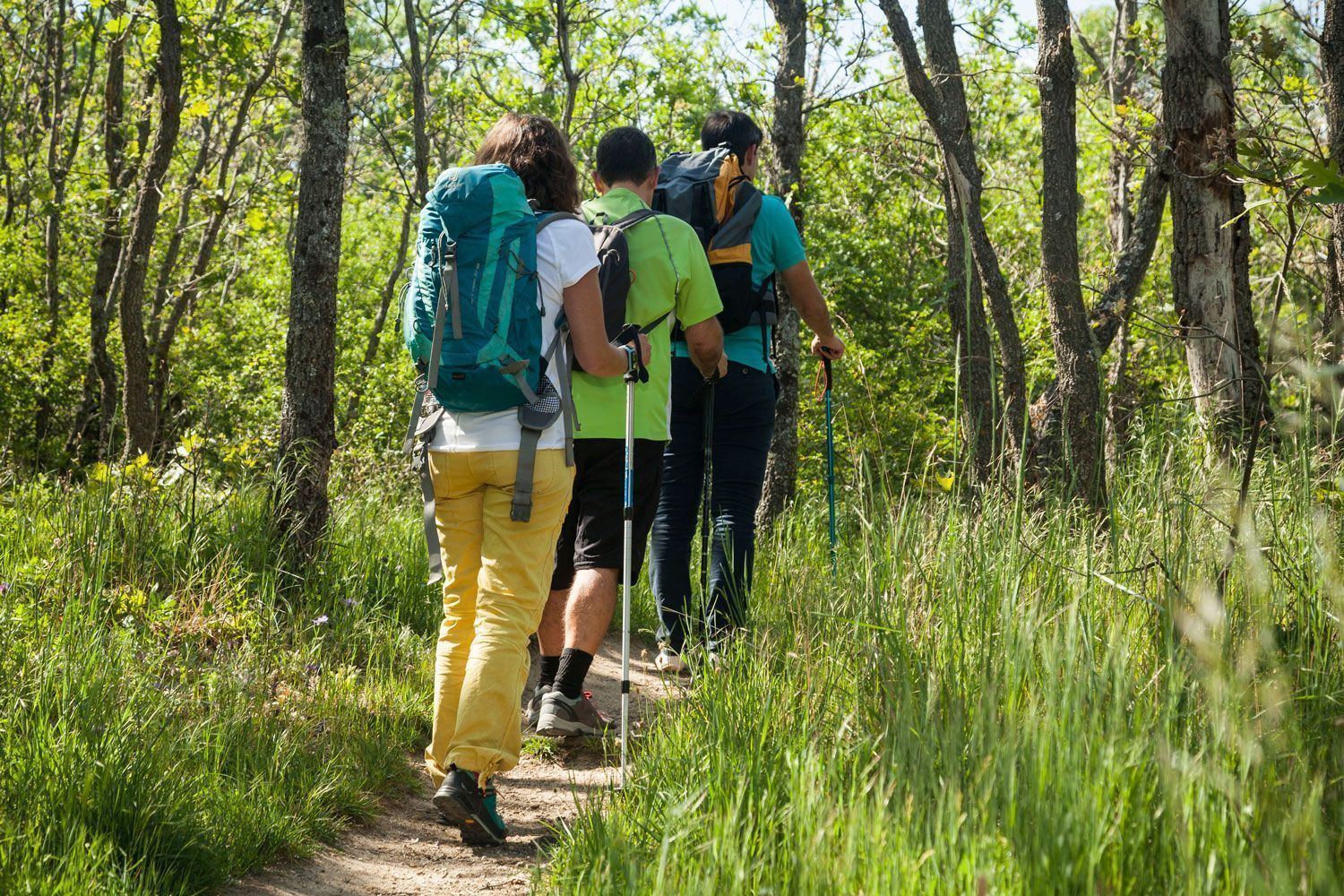 Alpedrete. Caminata saludable contra el cáncer «1 de 8»