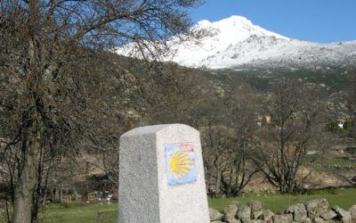 La Comunidad de Madrid y Adesgam apuestan por el “Camino de Santiago de Madrid inclusivo” en el Día Internacional de las Personas con Discapacidad