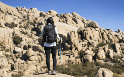 Adesgam presenta la estrategia para potenciar un turismo sostenible y de calidad en la Sierra de Guadarrama