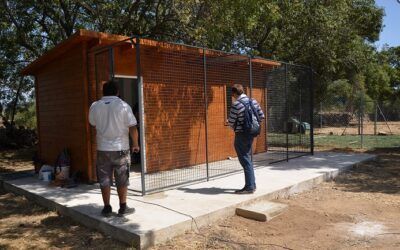 Se abre el plazo de licitación para la gestión del centro de animales de Guadarrama