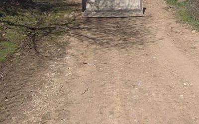 Plan de actuación para el puente de San José y Semana Santa en Guadarrama