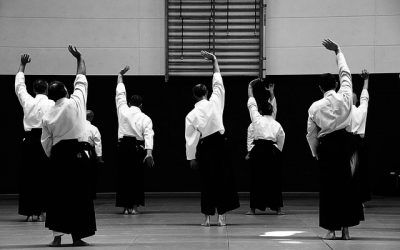 Curso benéfico de Aikido en Manzanares El Real