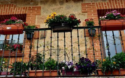 Miraflores de la Sierra declarada “Villa Florida de la Sierra de Guadarrama”