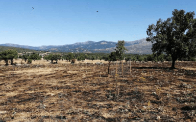Moralzarzal cierra por las noches  la Dehesa Vieja para evitar incendios