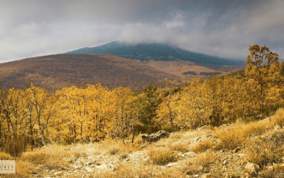 Miraflores de la Sierra se une al Corredor Biológico Mundial