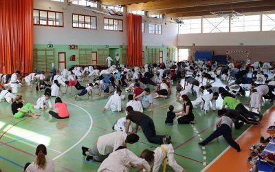 Más de 250 personas disfrutaron una jornada de karate en Guadarrama