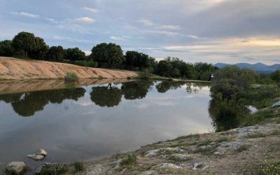 La Laguna del Gato de Moralzarzal en el catálogo de humedales de la región