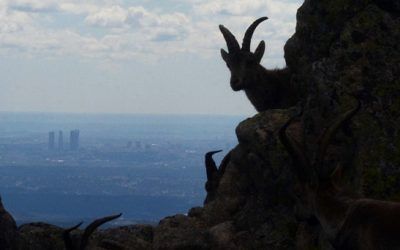 Adesgam participa en el VI Congreso Nacional de Ecoturismo