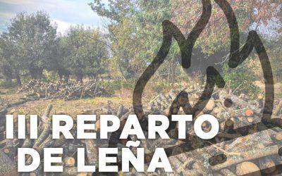 Manzanares El Real repartirá leña del trasmocho de la Dehesa Boyal de Colmenarejo