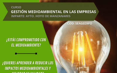 PUESTA EN MARCHA ACCIONES FORMATIVAS PARA EL EMPLEO: SISTEMA DE GESTIÓN MEDIOAMBIENTAL EN LA EMPRESA￼
