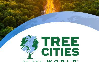 Navacerrada recibe el reconocimiento TreeCity 2022