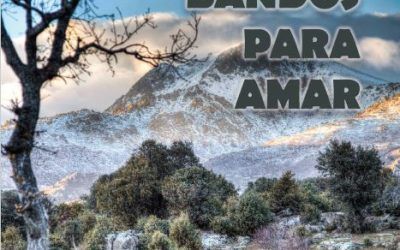 12 bandos para «amar» El Boalo, Cerceda y Mataepino