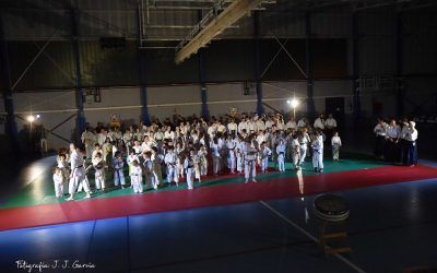 Éxito de participación en la Gala de Artes Marciales «Guadarrama Solidaria 2023»