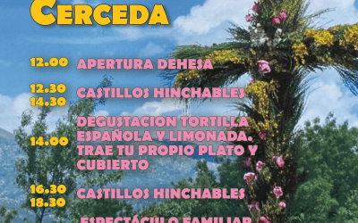 Programación Cruz de Mayo de Cerceda