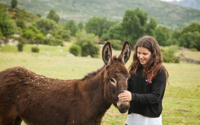 El destino Sierra de Guadarrama participa este fin de semana en el Festival de Campo