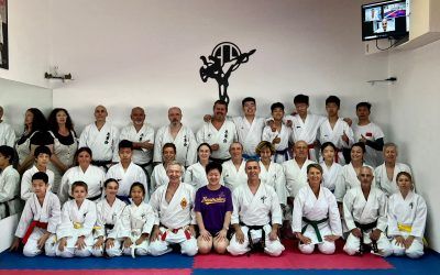 EL EQUIPO DE COMPETICIÓN DE BEIJING FENGTAI KARATE ASSOCIATION DE CHINA ASISTE A UNA CLASE DEL MAESTRO JESUS LA TORRE EN GUADARRAMA