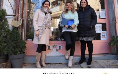 Ganadores del VI concurso de decoración navideña de escaparates de Soto del Real