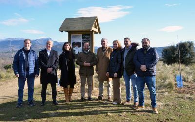 EL AYUNTAMIENTO DE GUADARRAMA Y SIGAUS FIRMAN UNA COLABORACIÓN QUE HA PERMITIDO LA PLANTACIÓN DE UN NUEVO BOSQUE DE 1000 ARBOLES