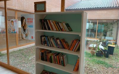La biblioteca de Soto del Real fomenta la lectura y la cohesión social