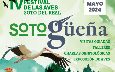 Festival de las aves Sotogüeña de Soto del Real