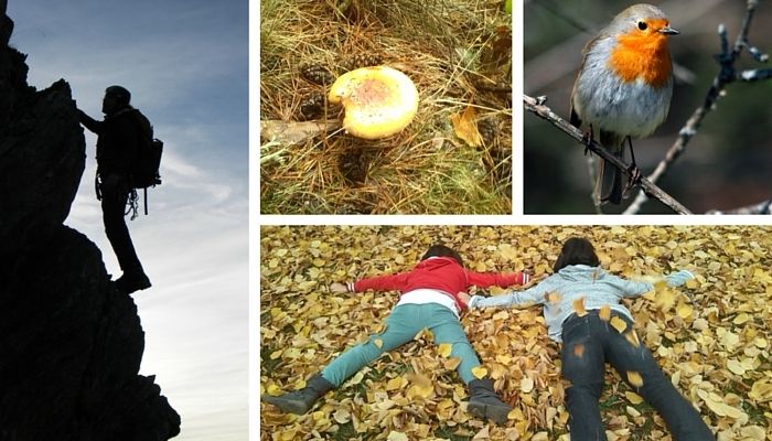 MadRural y la Sierra de Guadarrama brillarán en la Feria de Otoño de Las Ventas promocionando el turismo rural en Madrid