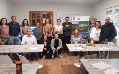 Adesgam continúa impulsando la colaboración empresarial en la Sierra de Guadarrama con el taller «Speed Dating Work»