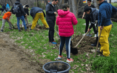 La Iniciativa ‘Un niño, un árbol’ fortalece la educación ambiental en Soto del Real