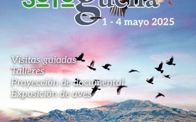 Soto del Real celebra la V edición de Sotogüeña, el Festival de las Aves