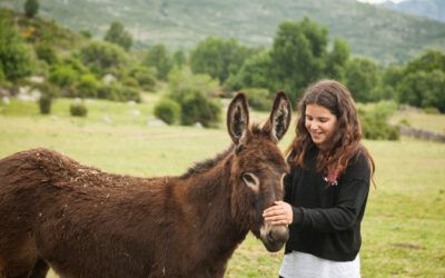 La Sierra de Guadarrama lleva su naturaleza y cultura al Festival de Campo 2025